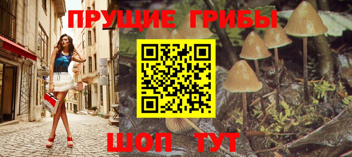 Галлюциногенные грибы мухоморы Сланцы