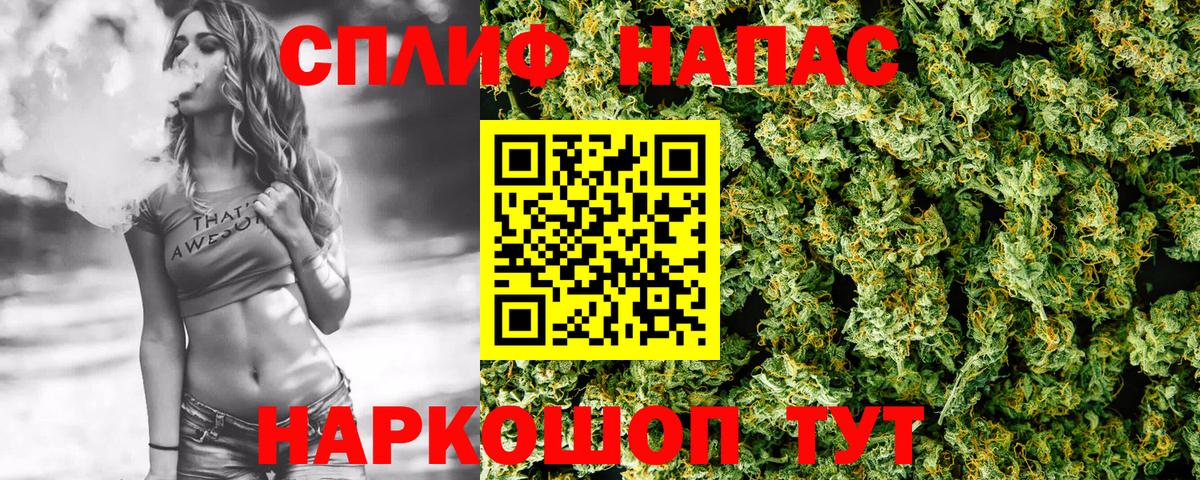 Конопля марихуана Сланцы